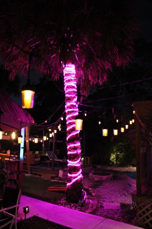 World Solo Travel'S Welcomed At St Pete Home 세인트피터즈버그 외부 사진